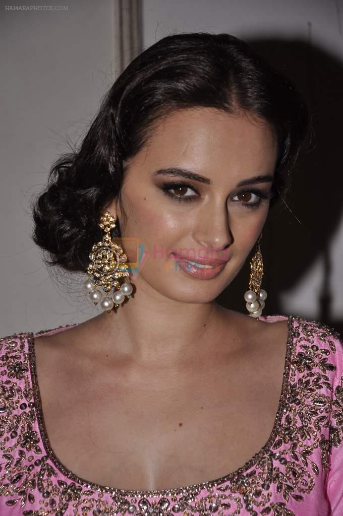 Evelyn Sharma at Manish malhotra show for save n empower the girl child cause by lilavati hospital in Mumbai on 5th Feb 2014