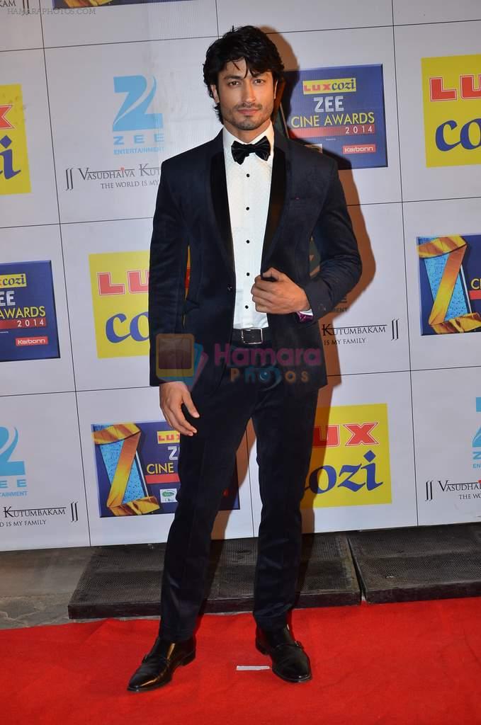 Vidyut Jamwal at Zee Awards red carpet in Filmcity, Mumbai on 8th Feb 2014