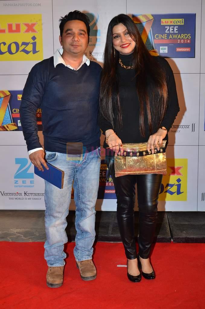 Ahmed Khan at Zee Awards red carpet in Filmcity, Mumbai on 8th Feb 2014