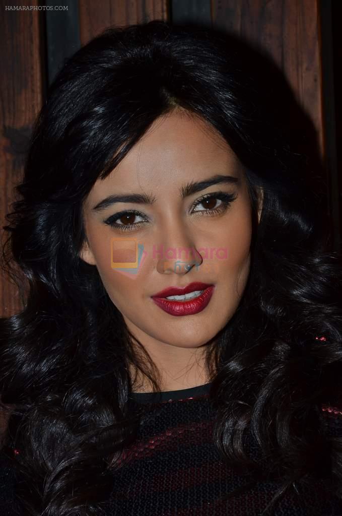 Neha Sharma at the Promotion of Youngistaan at the 2014 Goa Carnival on 17th Feb 2014