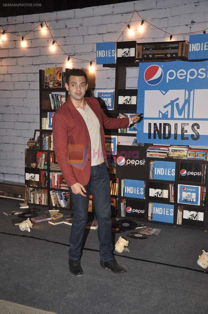 Cyrus Sahukar at MTV Indies Event in Mumbai on 20th Feb 2014