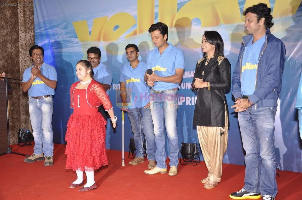 Riteish Deshmukh at Yellow film launch in Blue Sea, Mumbai on 21st Feb 2014