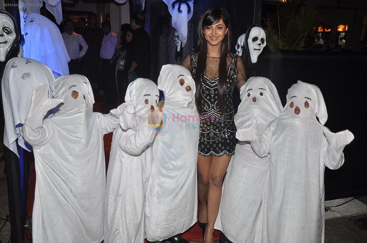 Meera Chopra at Gangs of Ghost Music Launch in Mumbai on 26th Feb 2014