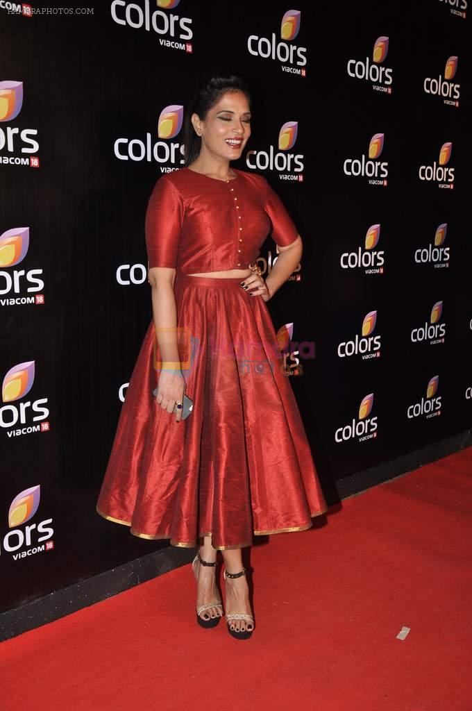 Richa Chadda at Colors red carpet in Grand Hyatt, Mumbai on 1st March 2014