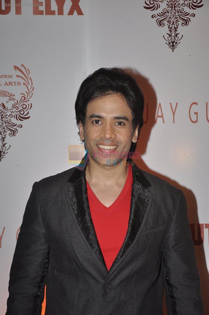 Tusshar Kapoor at the Viewing of In an Artists Mind - IV presented by Reshma Jani and Shwetambari Soni of Gallerie Angel Art along with Sanjay Gupta on 6th March 2014