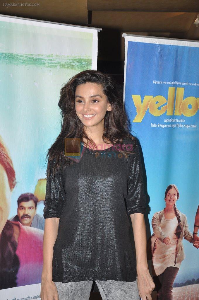 Shibani Dandekar at Yellow film screening in Mumbai on 2nd April 2014