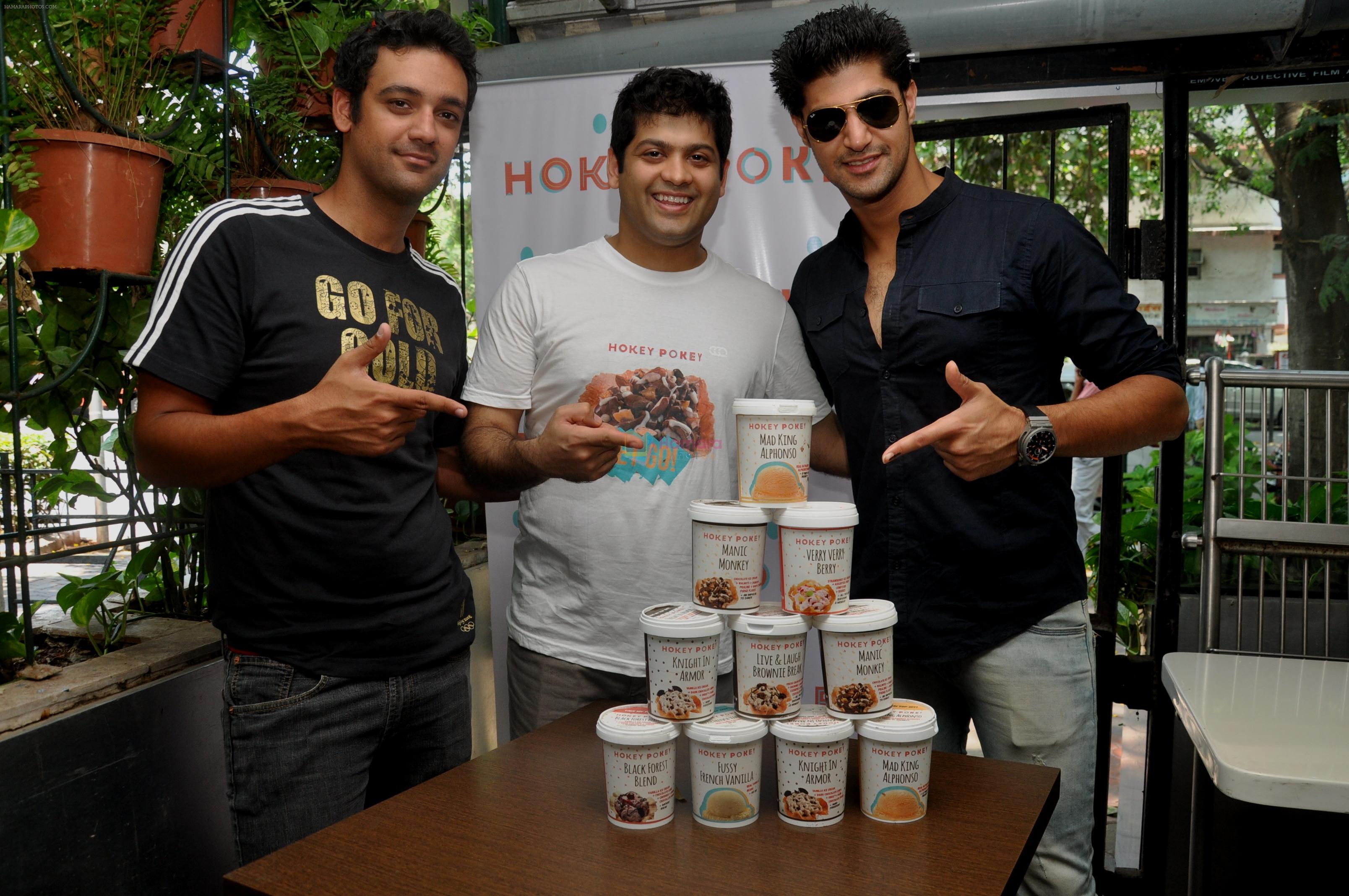 Olympian Swimmer Rehan Poncha, HP Founder Rohan Mirchandani, Actor Tanuj Virwani at the Launch of Hokey Pokey Ice-creams in Retail Packs on 26th April 2014