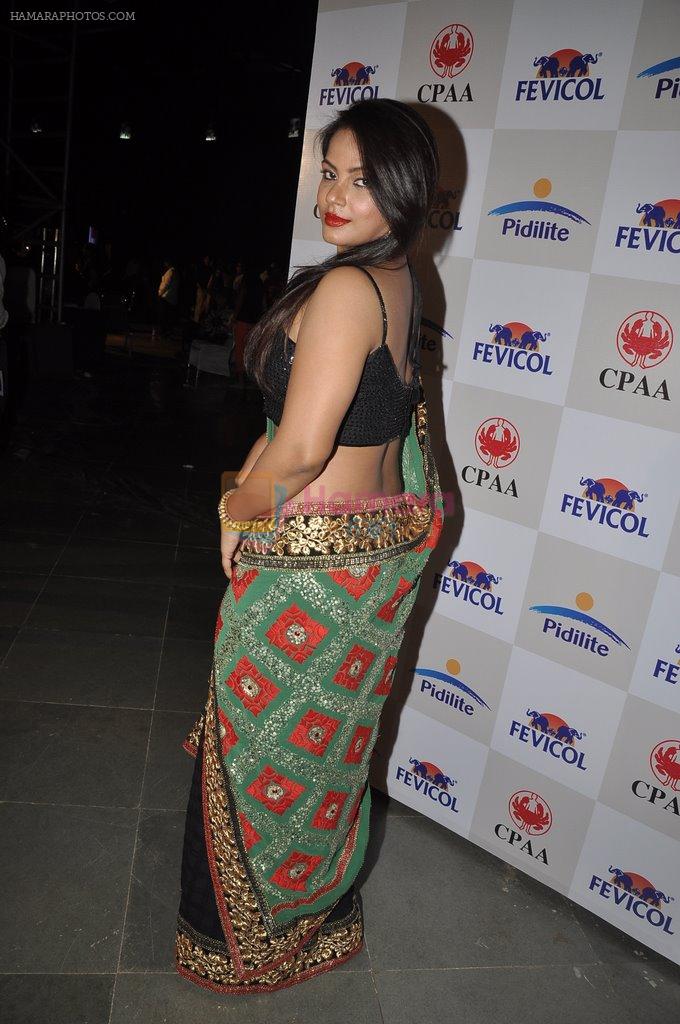 Neetu Chandra at Pidilite CPAA Show in NSCI, Mumbai on 11th May 2014,1