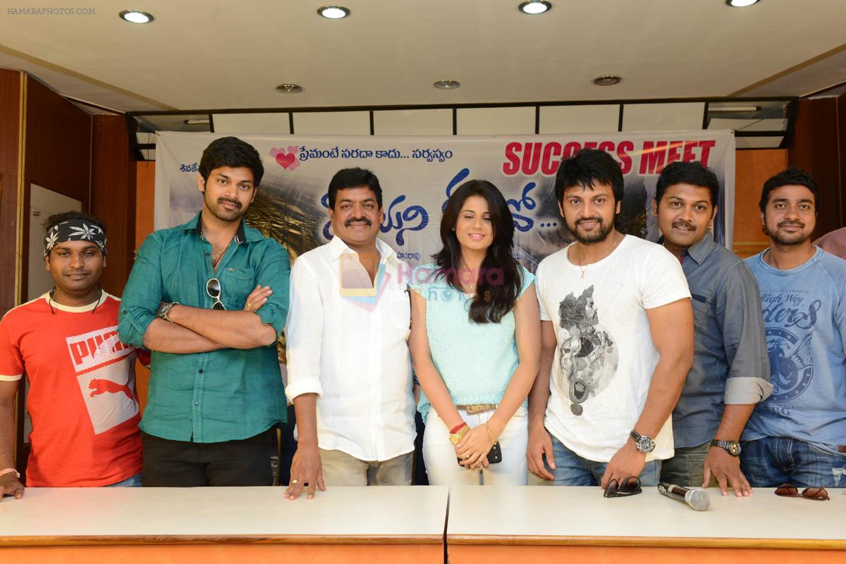 Teeyani Kalavo Movie Success Meet on 7th June 2014