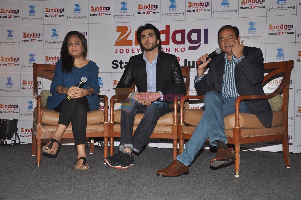 Shailja Kejriwal, Imran Abbas, Bharat Ranga at the launch of Zee's _Zindagi_ channel in J W Marriott, Mumbai on 16th June 2014