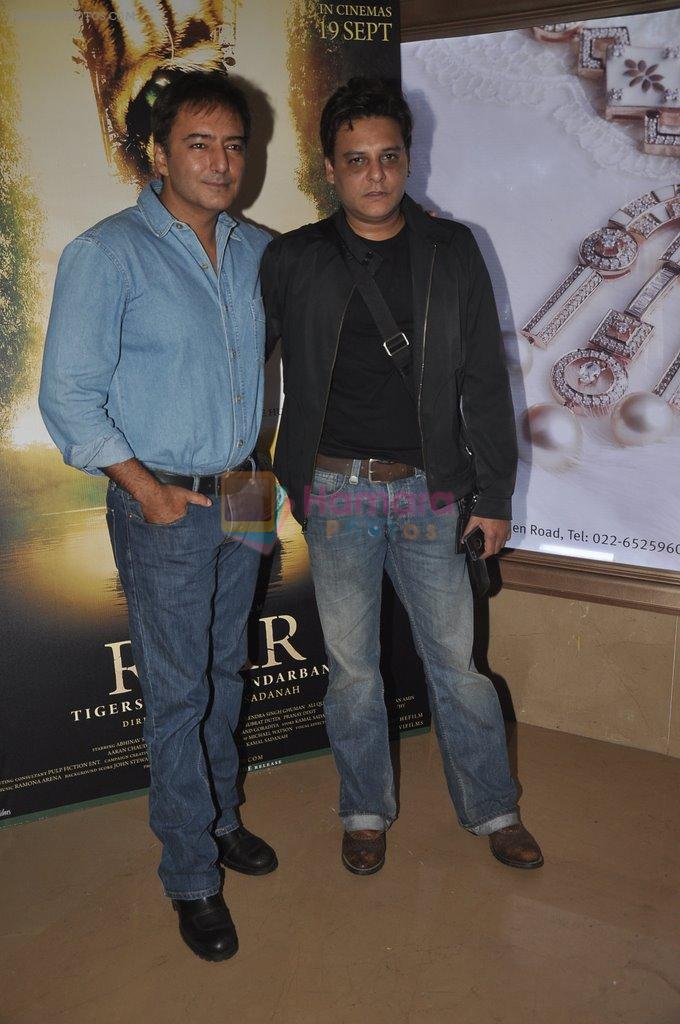 Kamal Saldanah's roar film launch in Mumbai on 31st July 2014