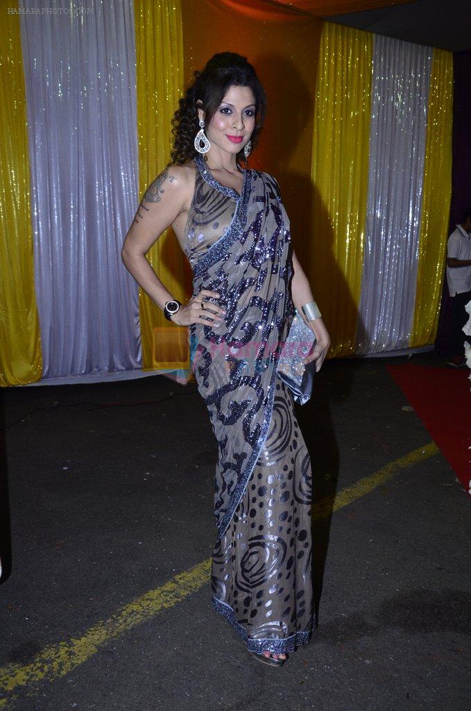 Tanaaz Curim at SAB Ke anokhe awards in Filmcity on 12th Aug 2014