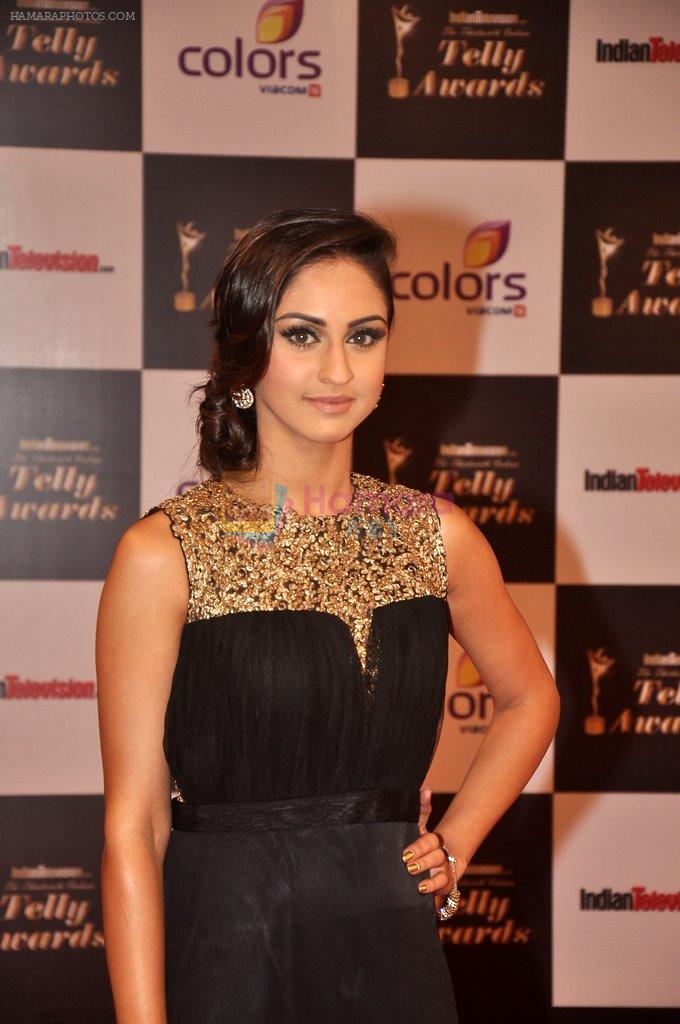 Krystal D Souza at Indian Telly Awards in Filmcity, Mumbai on 9th Sept 2014