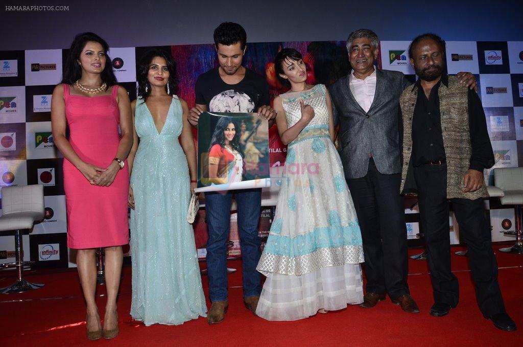 Tripta Parashar, Rachna Shah, Randeep Hooda, Ferena Wazeir , Deepa Sahi, Ketan Mehta at Rang Rasiya music launch in Deepak Cinema on 25th Sept 2014