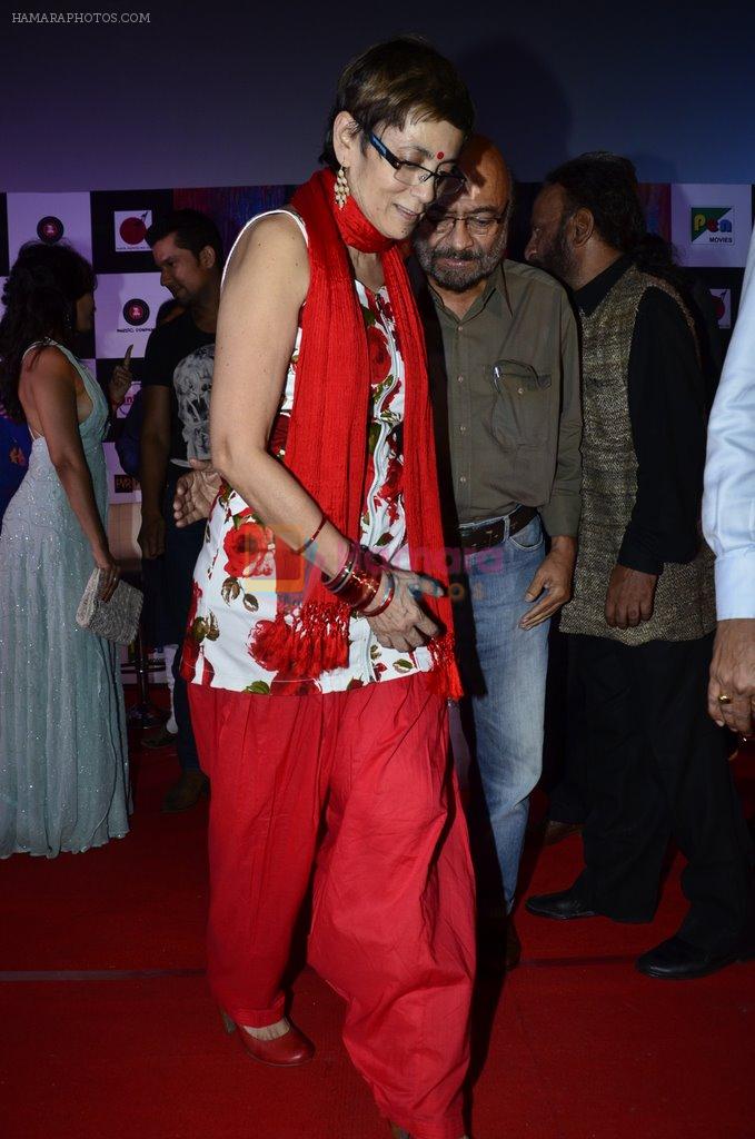 Deepa Sahi at Rang Rasiya music launch in Deepak Cinema on 25th Sept 2014