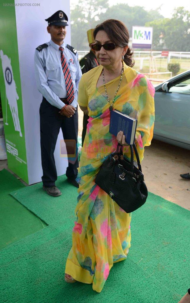 Sharmila Tagore at pataudi polo cup in Mumbai on 26th Oct 2014