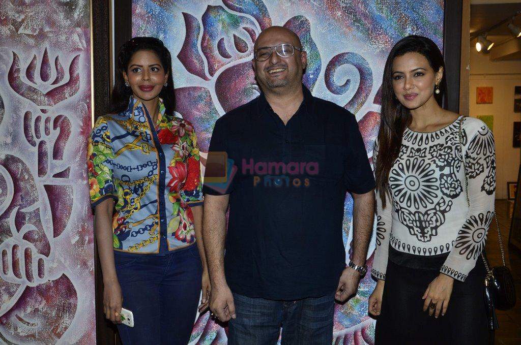 Bhairavi Goswami, Sana Khan at Dr.Seema Chaudhary & Nitin Chaudhary's art show inauguration in Prince of Vales on 26th Oct 2014