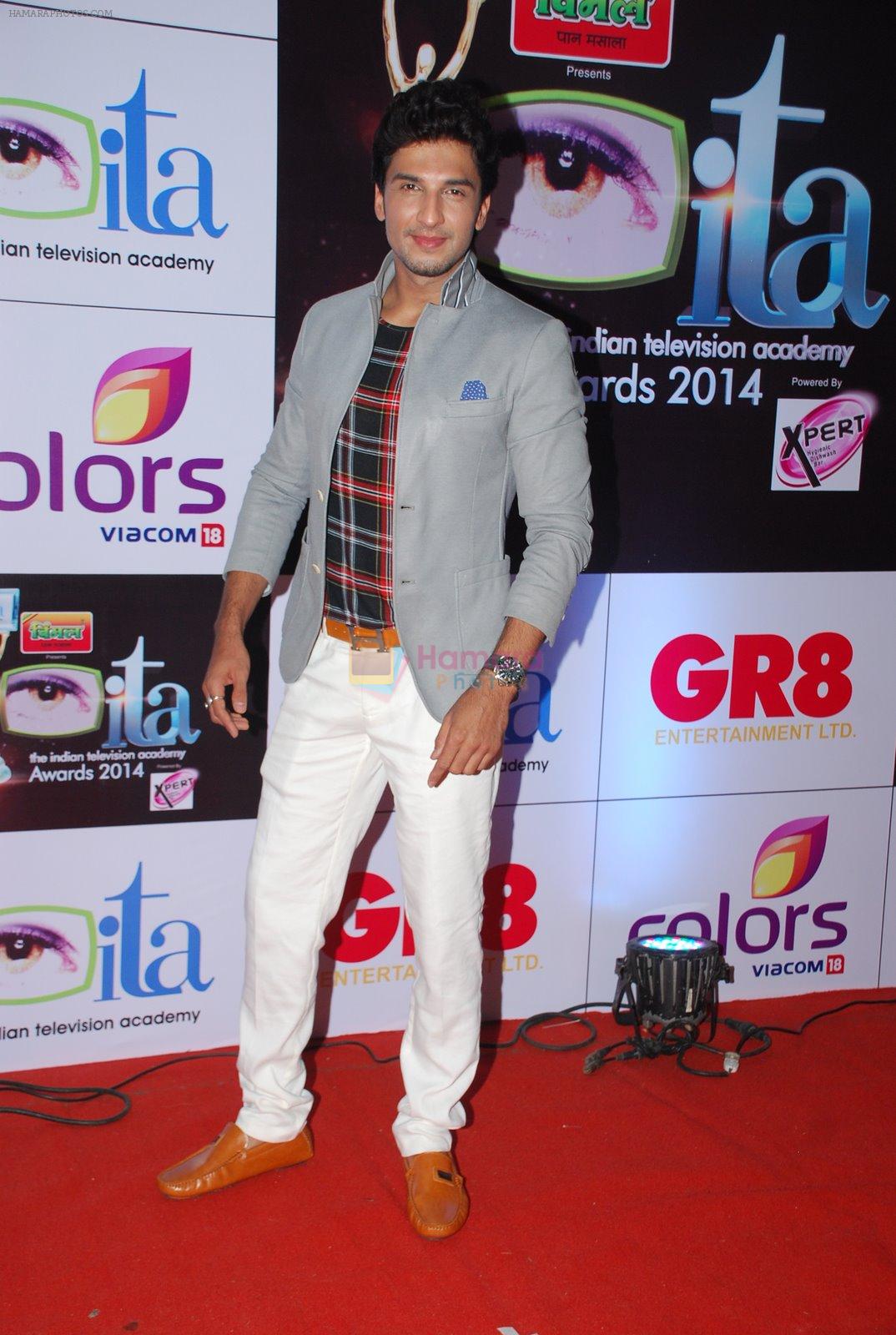 Manish Raisinghani at ITA Awards red carpet in Mumbai on 1st Nov 2014