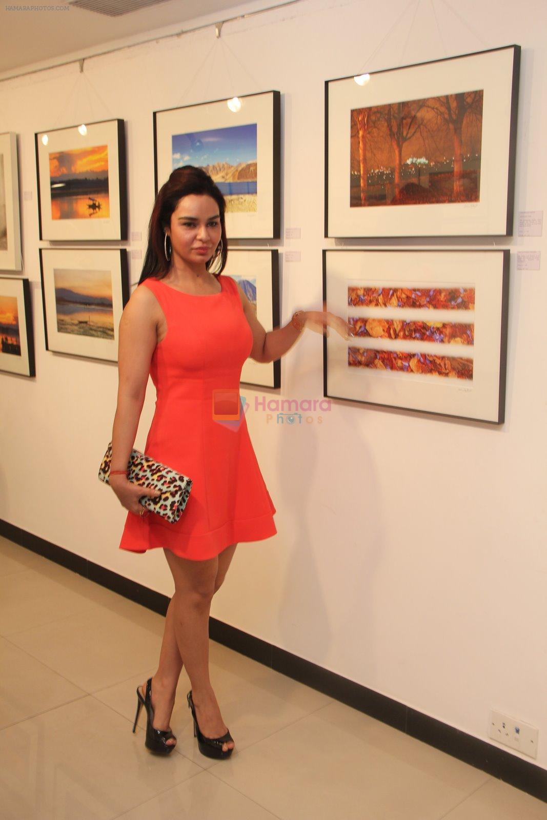 Kavita Verma at Melted core photo exhibition in Kalaghoda, Mumbai on 4th Nov 2014