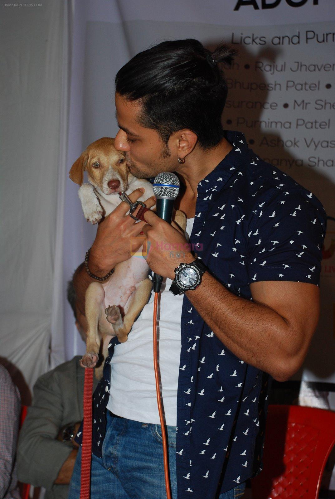 Kunal Khemu at pet adoption in Juhu, Mumbai on 23rd Nov 2014