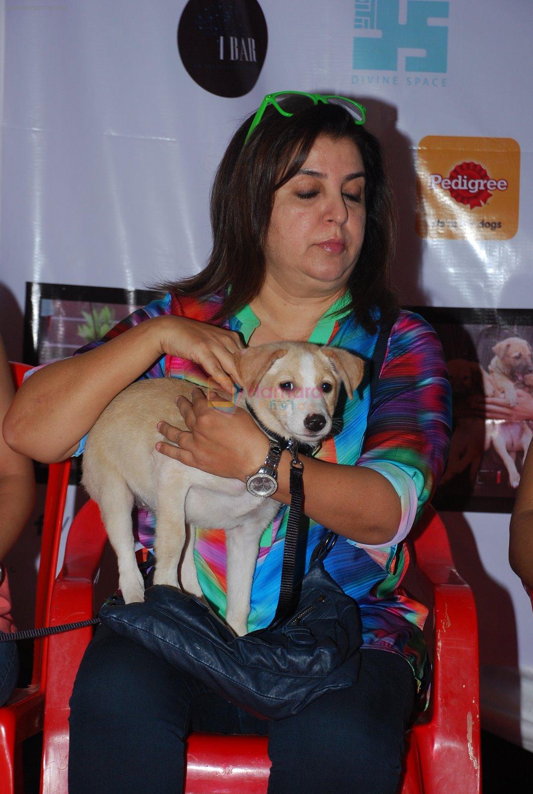 Farah Khan at pet adoption in Mumbai on 22nd Nov 2014