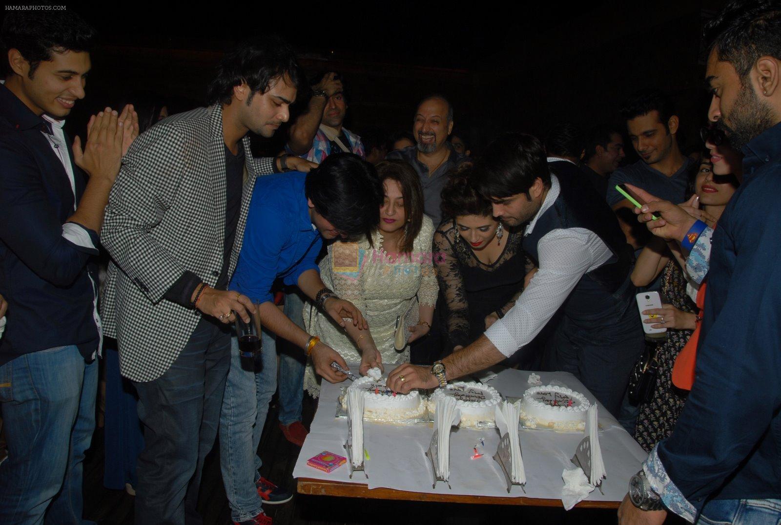 Vahbiz Dorabjee, Vivian Dsena at Vahbbiz Dorabjee's bday in Mumbai on 3rd Dec 2014