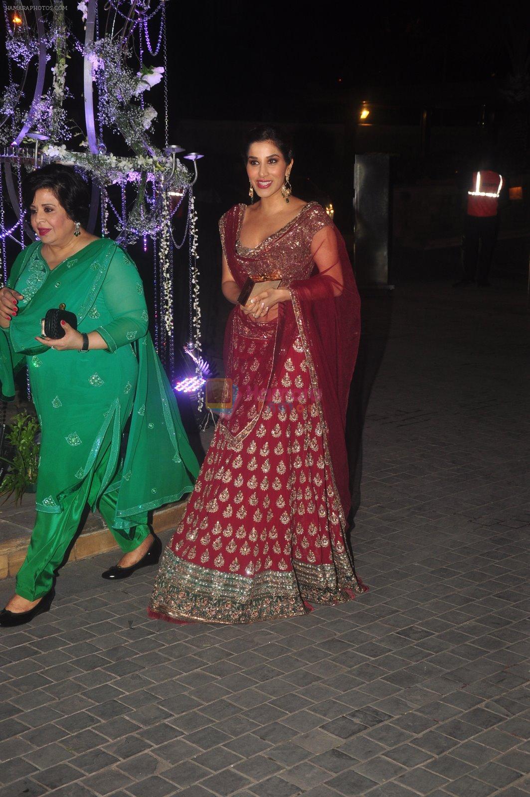 Sophie Chaudhary at Sangeet ceremony of Riddhi Malhotra and Tejas Talwalkar in J W Marriott, Mumbai on 13th Dec 2014