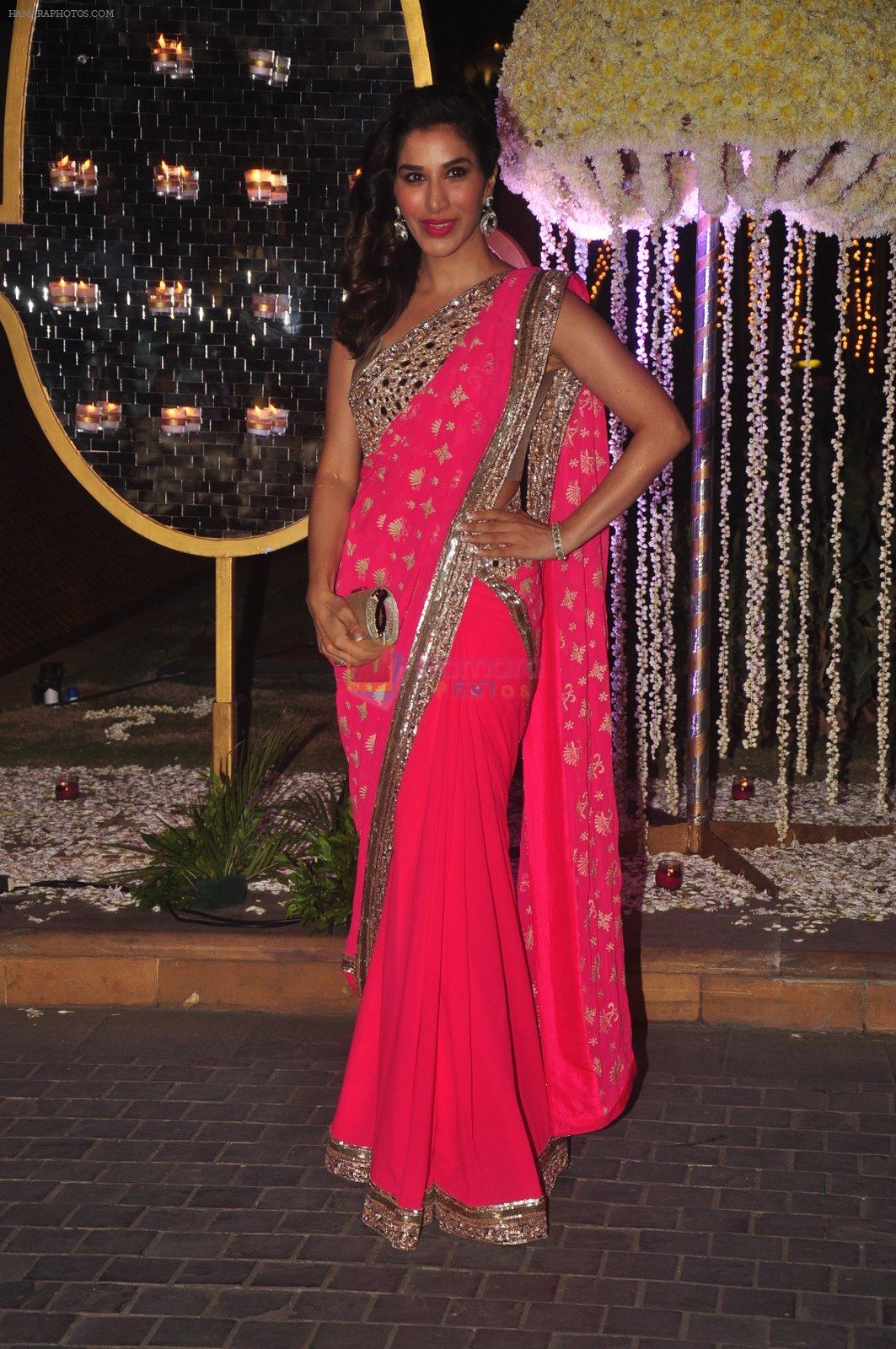 Sophie Chaudhary at Riddhi Malhotra & Tejas Talwalkar's wedding reception in J W Marriott, Mumbai on 15th Dec 2014