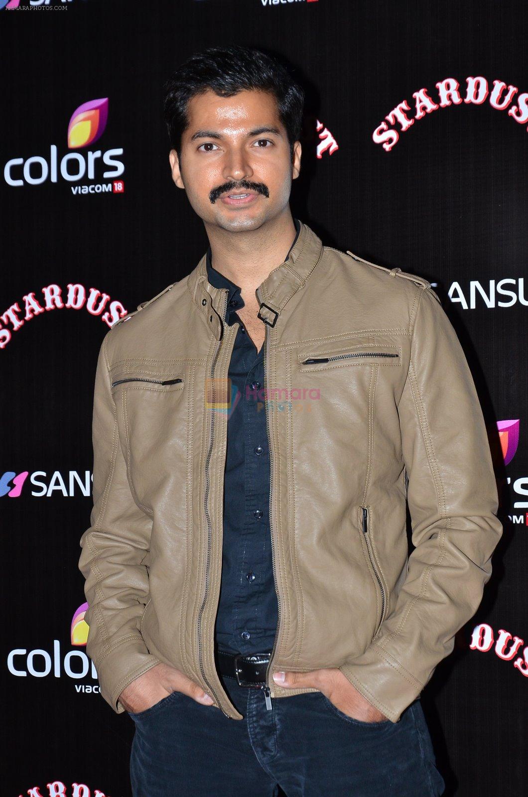 at Sansui Stardust Awards red carpet in Mumbai on 14th Dec 2014