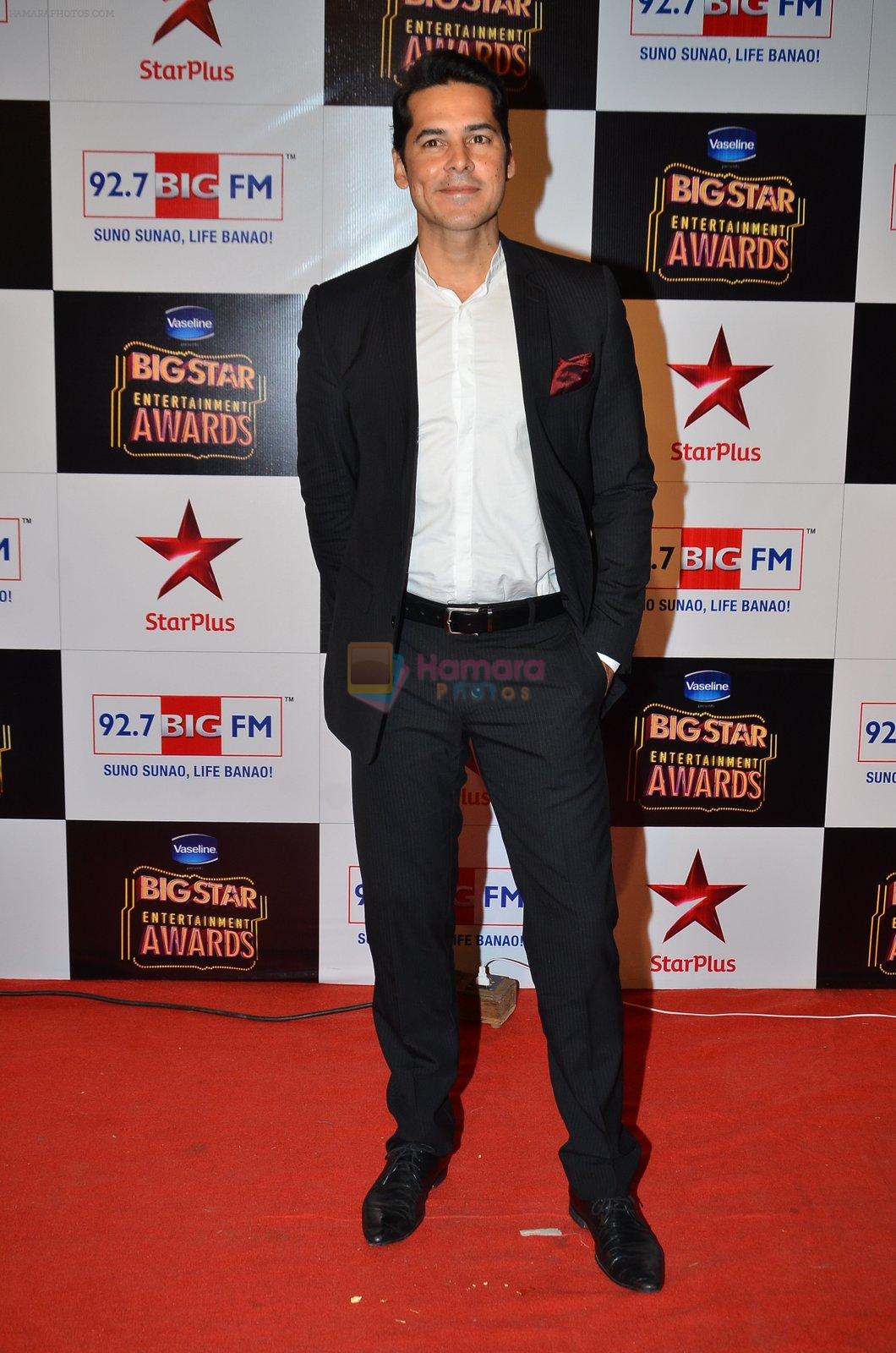 Dino Morea at Big Star Entertainment Awards Red Carpet in Mumbai on 18th Dec 2014