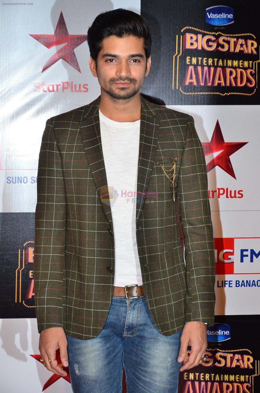 at Big Star Entertainment Awards Red Carpet in Mumbai on 18th Dec 2014