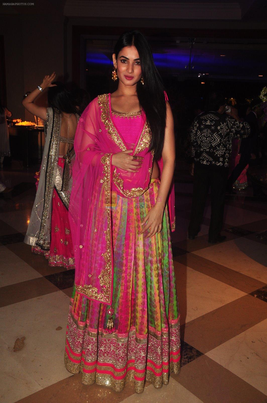 Sonal Chauhan at Vikram Singh's Brother Uday Singh and Ali Morani's daughter Shirin's Sangeet Ceremony on 18th Dec 2014