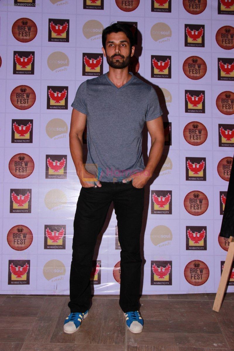 Ameet Gaur at the Brew Fest in Mumbai on 23rd Jan 2015