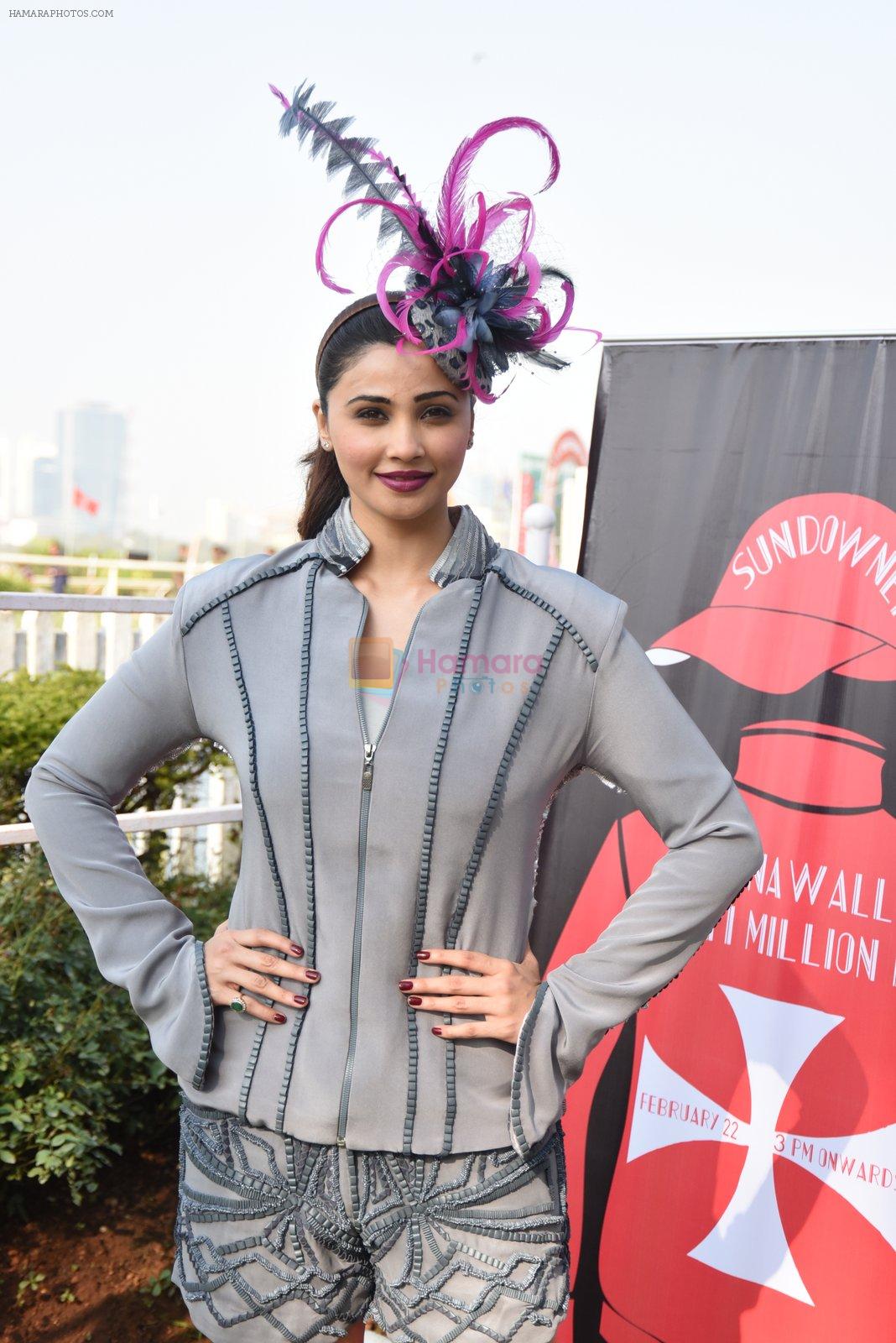 Daisy Shah at Poonawala race in mahalaxmi on 22nd Feb 2015