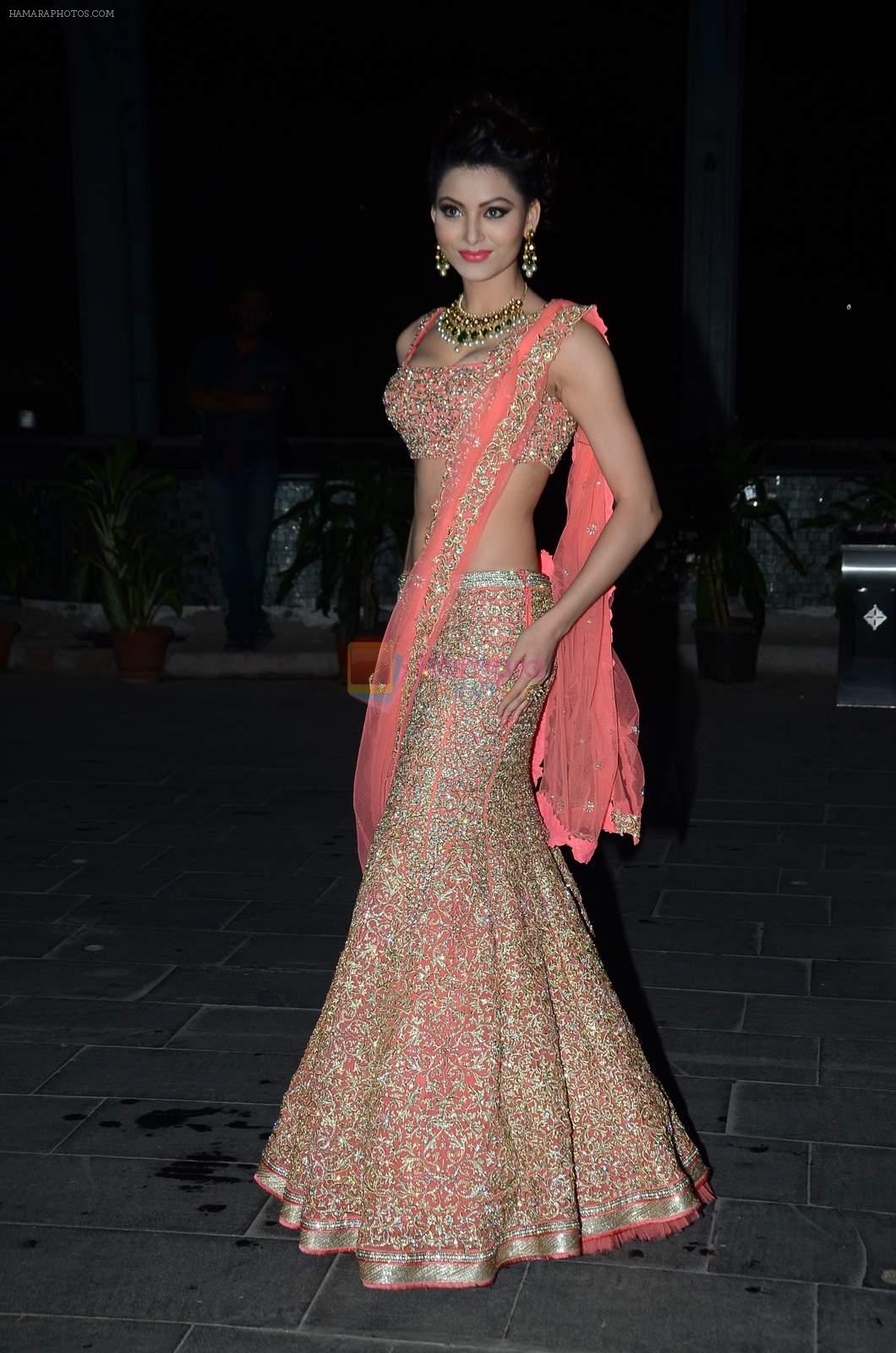Urvashi Rautela at Tulsi Kumar's wedding reception in Sahara Star, Mumbai on 2nd March 2015