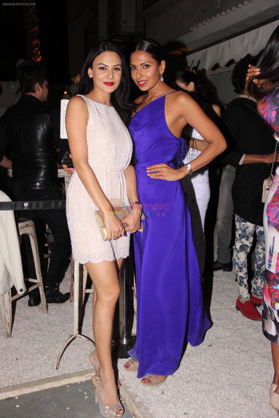 Aanchal Kumar at Candice Pinto's Birthday Bash in Olive on 11th March 2015