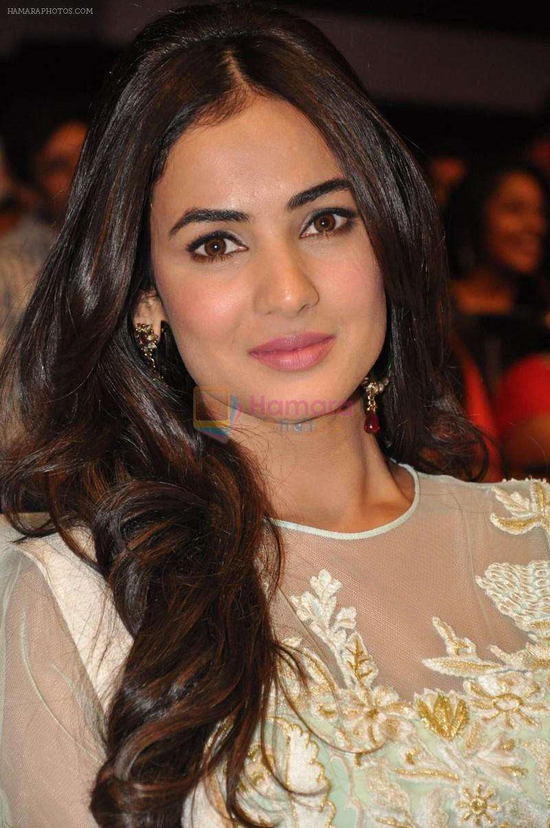 Sonal Chauhan at Pandaga Chesko Audio Launch on 1st may 2015