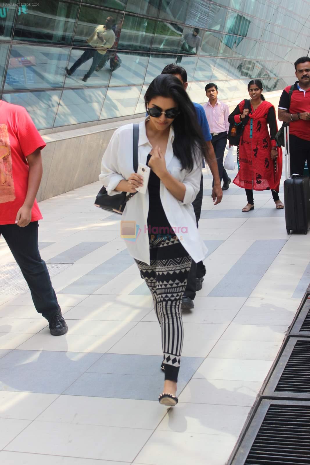 Asin Thottumkal snapped at airport in Mumbai on 5th May 2015
