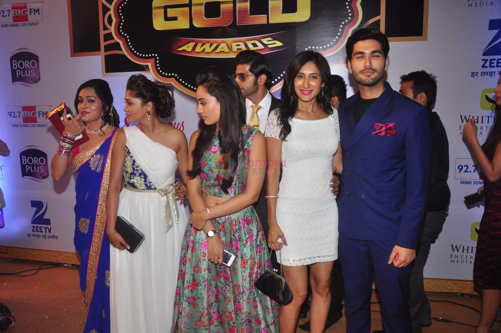 Teejay Sidhu at Gold Awards in Filmistan on 4th June 2015