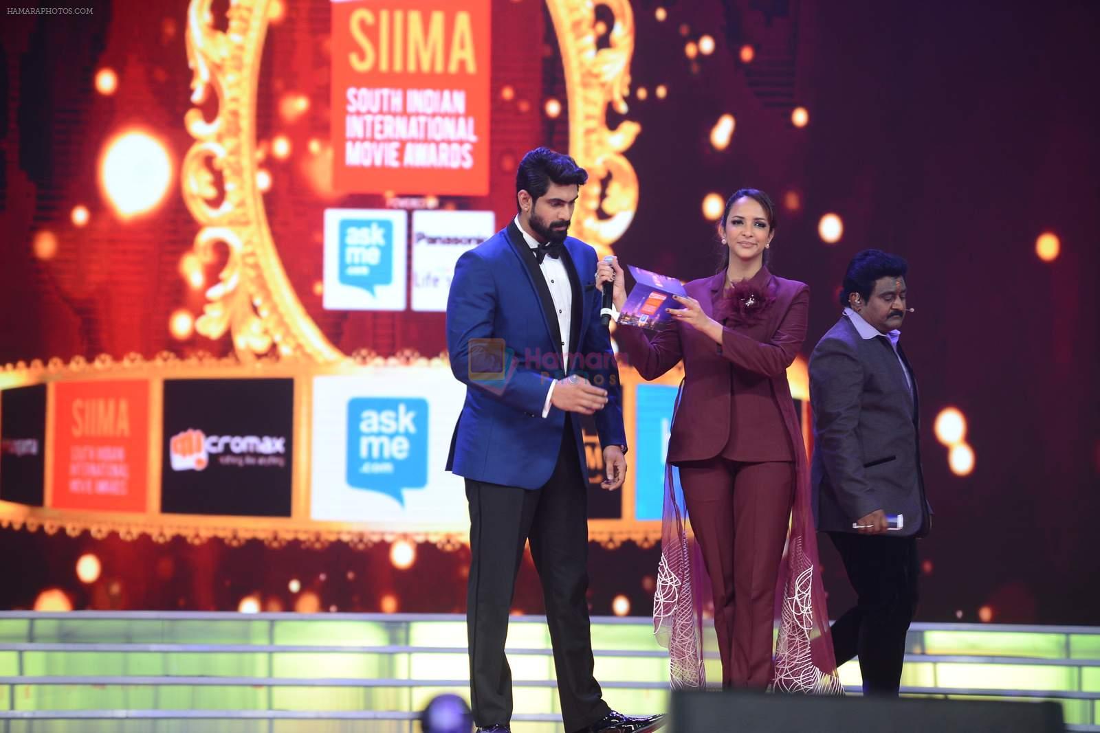 at Micromax SIIMA AWARDS 2015 RED CARPET DAY2 on 6th Aug 2015