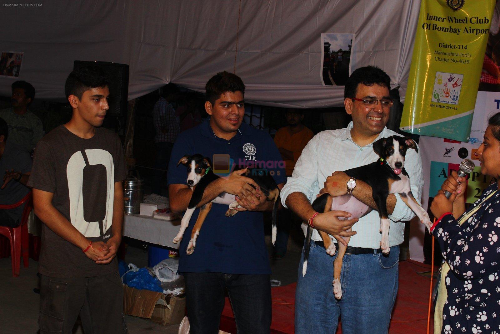 at pet adoption in Juhu on 21st Nov 2015