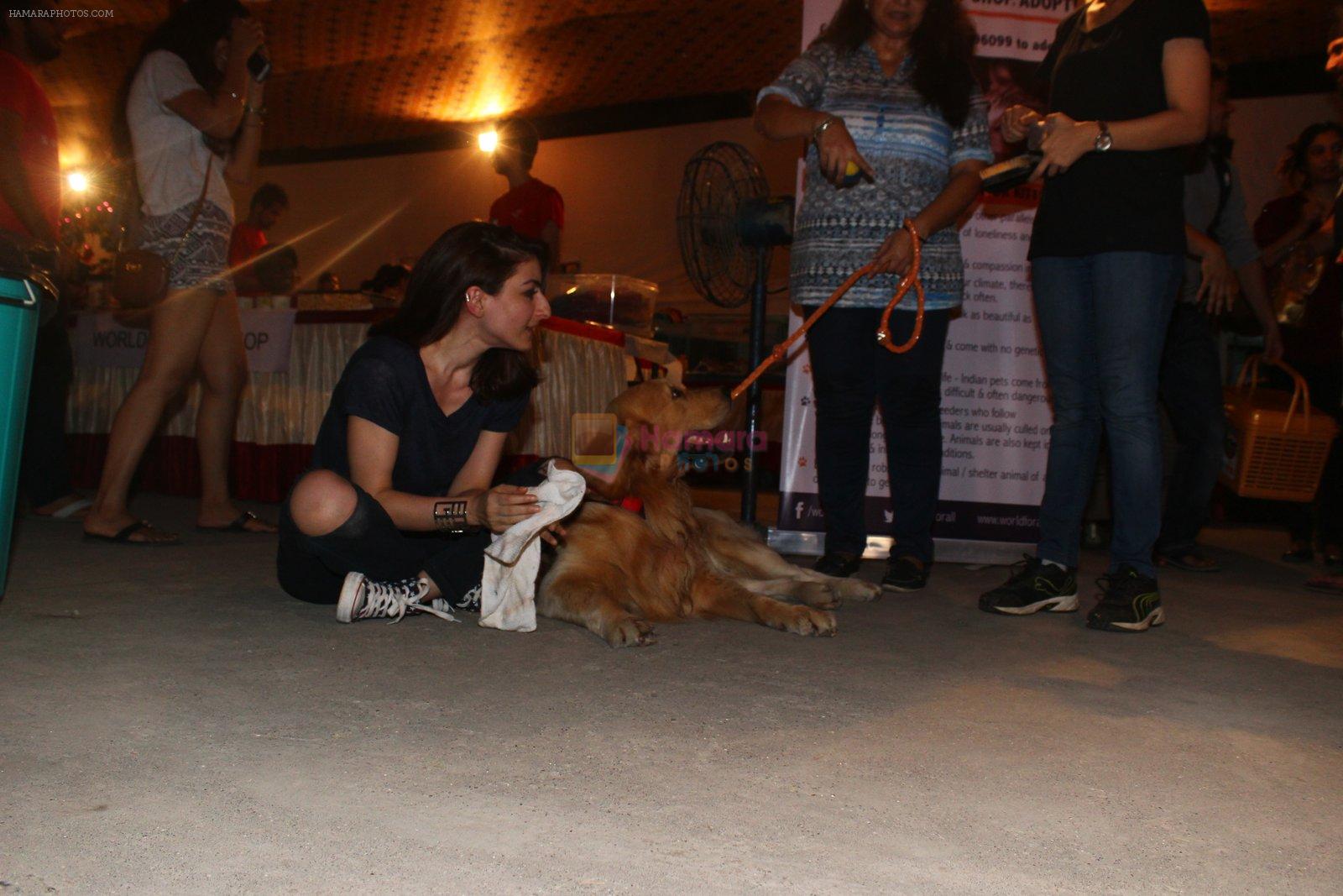 Soha Ali KHan at pet adoption in Juhu on 21st Nov 2015