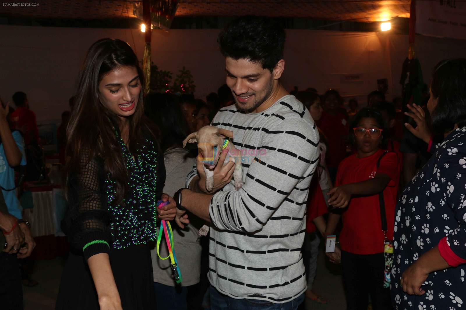 Athiya Shetty, Sooraj Pancholi at pet adoption in Juhu on 21st Nov 2015