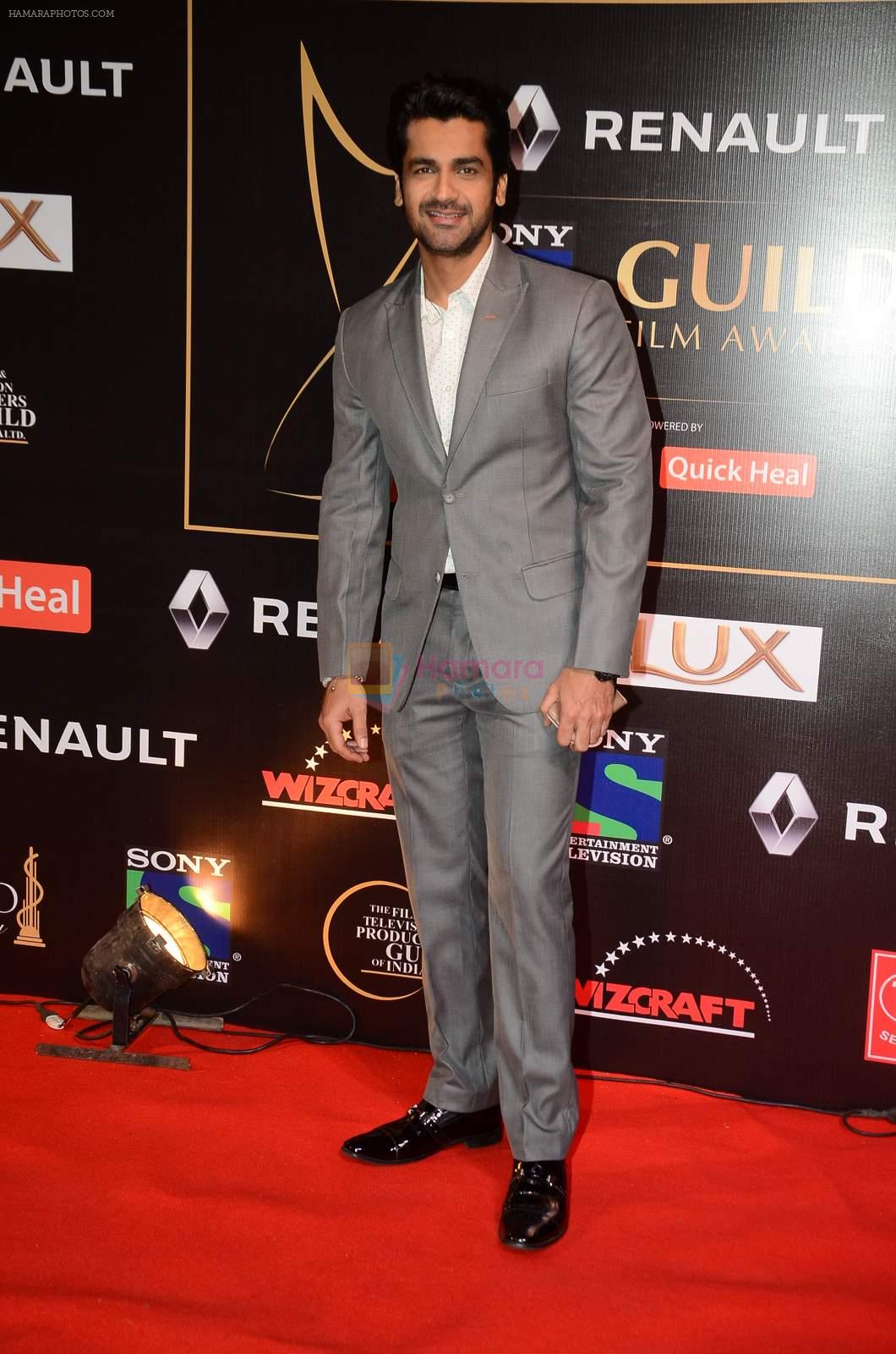 Arjan Bajwa at Producer's Guild Awards on 22nd Dec 2015