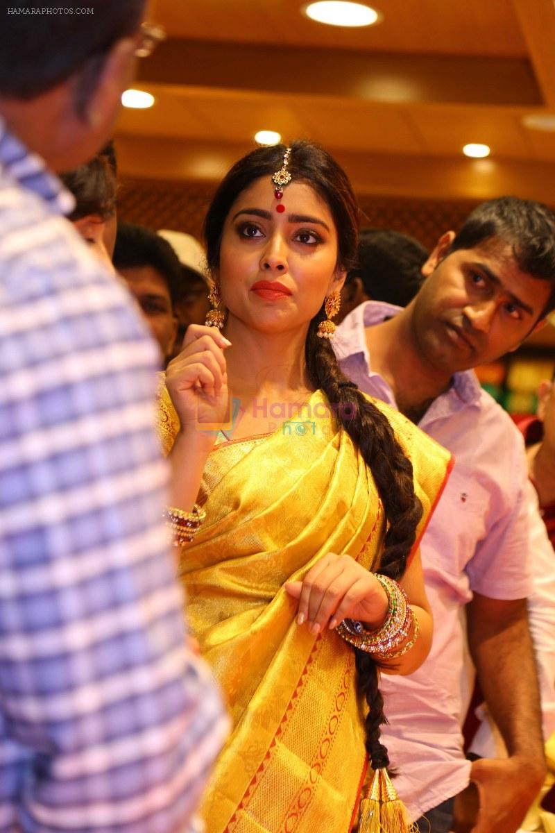 Shriya Saran Launches VRK Silks Showroom on 23rd Jan 2016