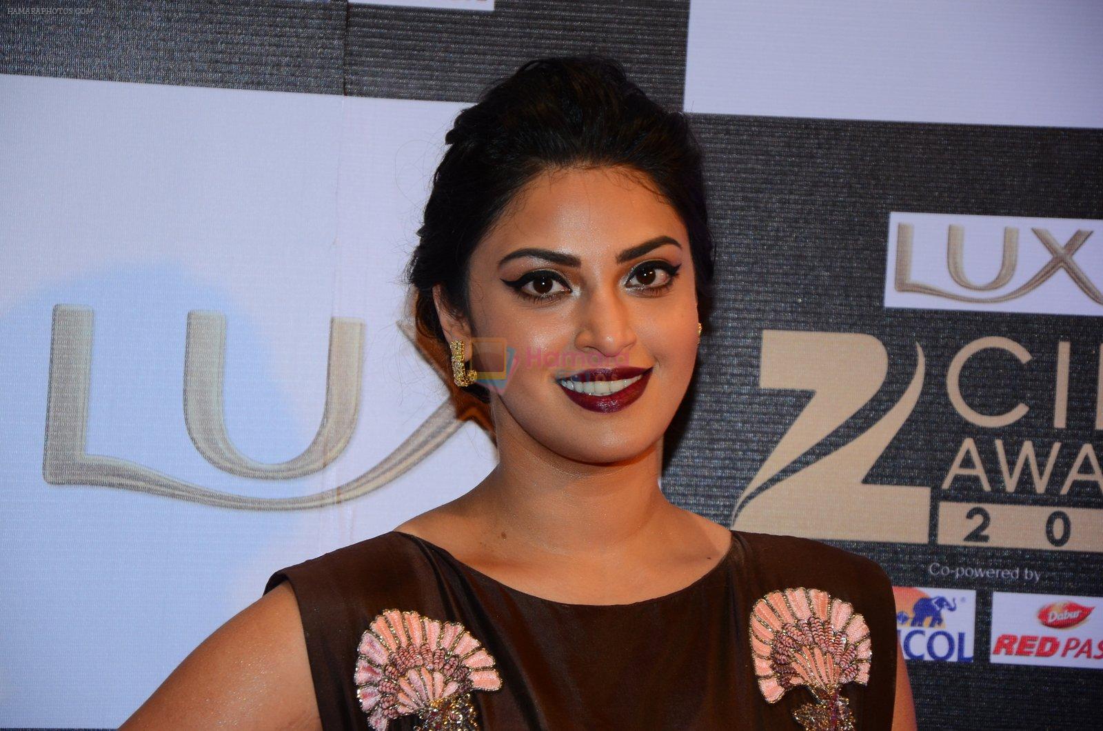 Anushka Ranjan at zee cine awards 2016 on 20th Feb 2016