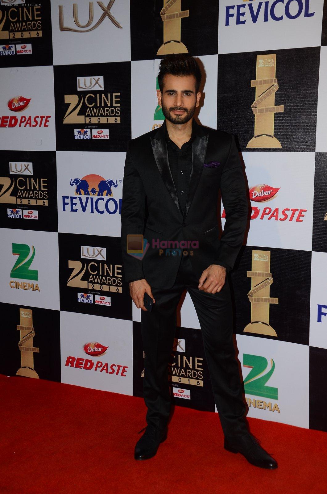 Karan Tacker at zee cine awards 2016 on 20th Feb 2016