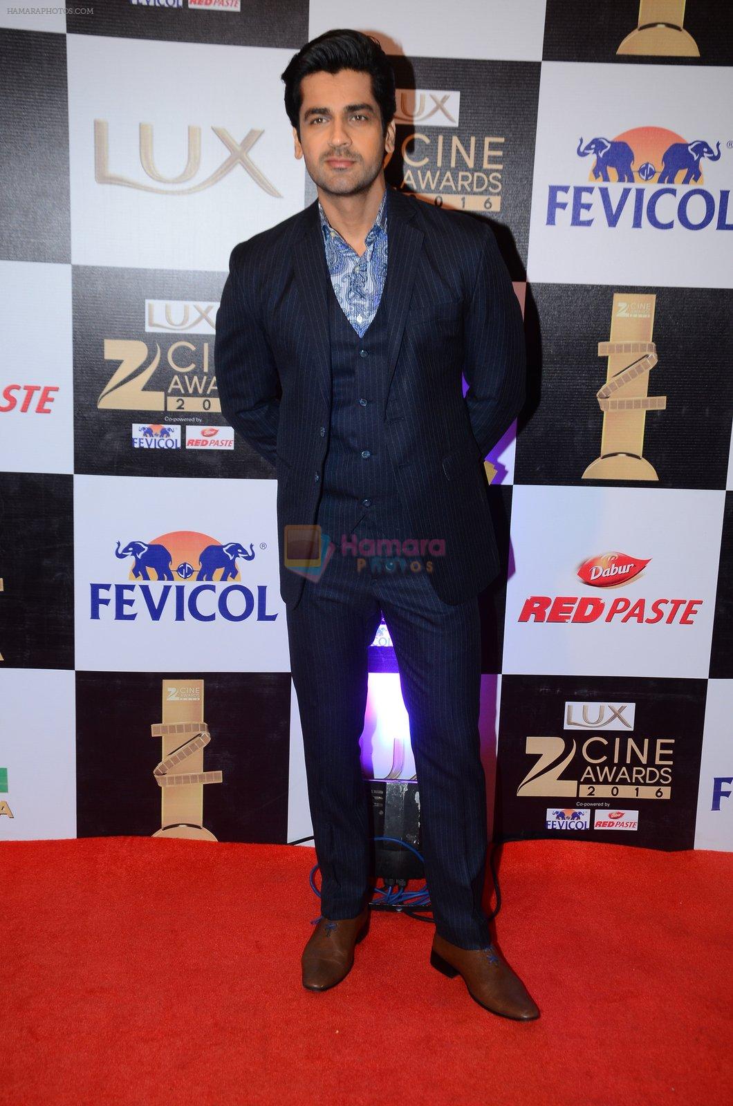 Arjan Bajwa at zee cine awards 2016 on 20th Feb 2016