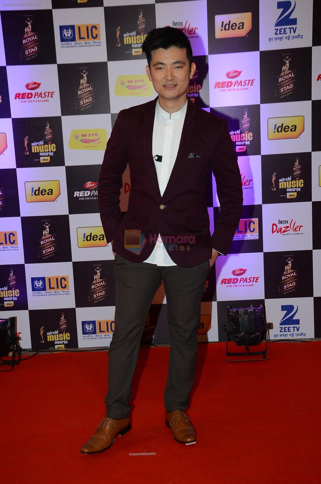 Meiyang Chang at radio mirchi awards red carpet in Mumbai on 29th Feb 2016
