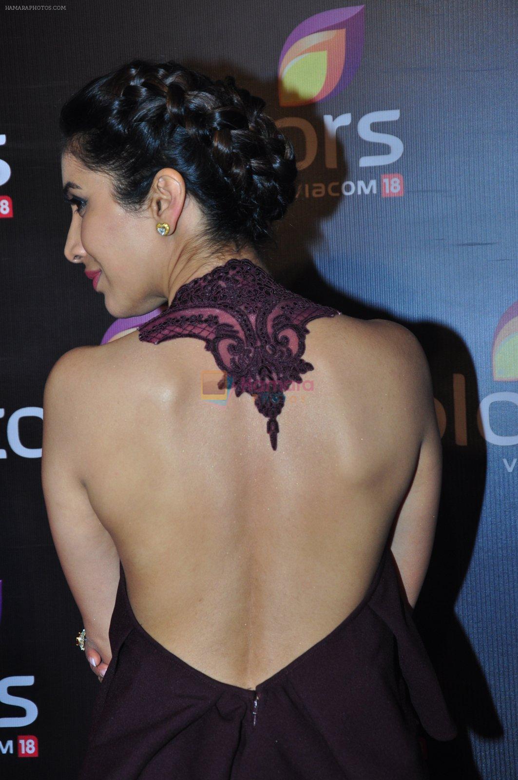 Sophie Chaudhary at Colors red carpet on 12th March 2016